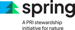 Spring logo